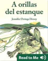 A orillas del estanque