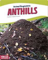 Animal Engineers: Anthills