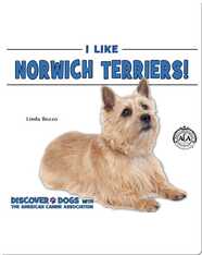 I Like Norwich Terriers!