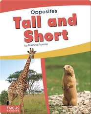 Opposites: Tall and Short