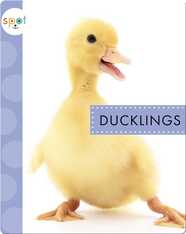Baby Farm Animals: Ducklings