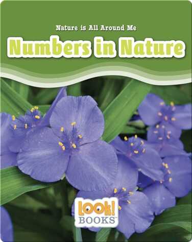 Numbers in Nature book