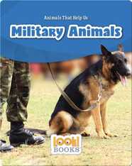 Military Animals
