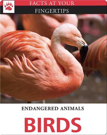 Endangered Animals: Birds book