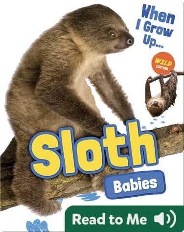 Sloth Babies book