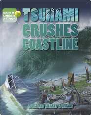 Tsunami Crushes Coastline