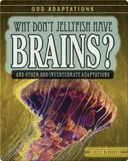 Why Don’t Jellyfish Have Brains? And Other Odd Invertebrate Adaptations
