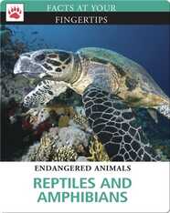 Reptiles and Amphibians