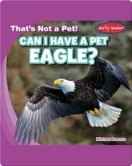 Can I Have a Pet Eagle?