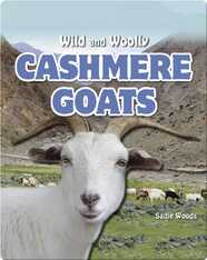 Cashmere Goats