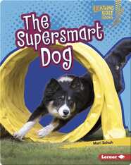 The Supersmart Dog
