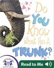 Do You Know What Has A Trunk?