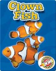 Clown Fish: Oceans Alive