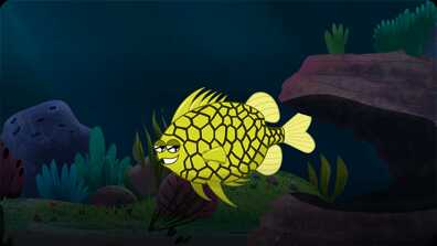 I’m A Pineapple Fish book
