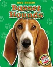 Basset Hounds: Dog Breeds