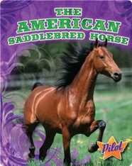 The American Saddlebred Horse