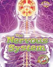 The Nervous System