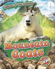 Mountain Goats