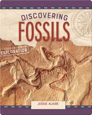 Discovering Fossils