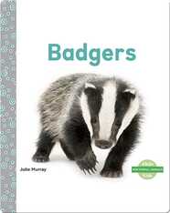 Badgers