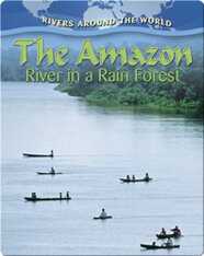 The Amazon River in a Rain Forest