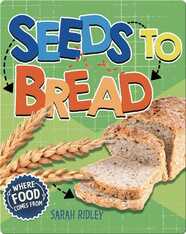 Where Food Comes From: Seeds to Bread