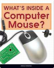 What's Inside a Computer Mouse?