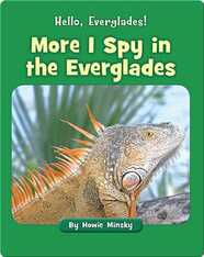 Hello, Everglades!: More I Spy in the Everglades