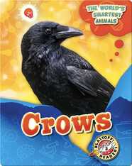 The World's Smartest Animals: Crows