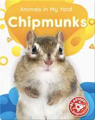 Animals in My Yard: Chipmunks