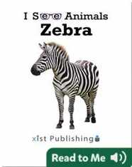 I See Animals: Zebra