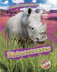Animals of the Grasslands: Rhinoceroses