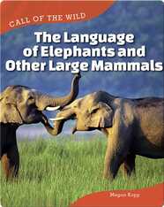 The Language of Elephants and Other Large Mammals