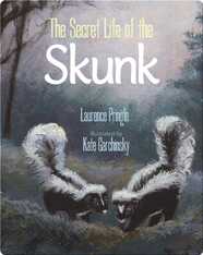 The Secret Life of the Skunk
