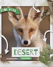 Desert Food Webs