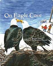On Eagle Cove