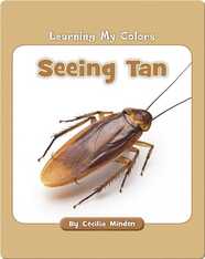 Learning My Colors: Seeing Tan