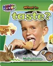 What is Taste?