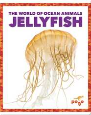 The World of Ocean Animals: Jellyfish
