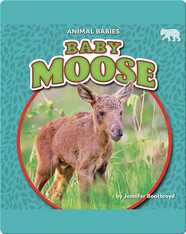 Animal Babies: Baby Moose