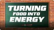 Nutrition Course: How Your Body Turns Food Into Energy