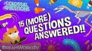 Colossal Questions: 15 (More) Questions Answered!