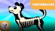 Smile and Learn Animals: Vertebrates (Introduction)