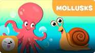 Smile and Learn Animals: Mollusks