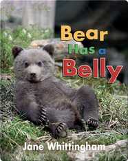 Big, Little Concepts: Bear Has a Belly