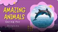 Amazing Animals: Caring for Dolphins