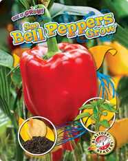 See Bell Peppers Grow