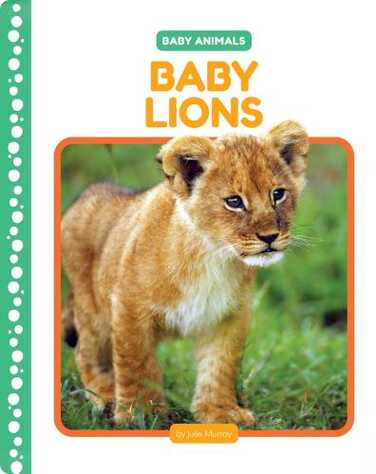 Baby Lions book
