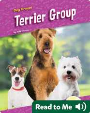 Terrier Group