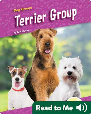 Terrier Group book